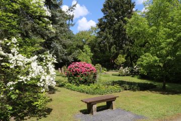 Hauptfriedhof Kassel